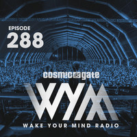 Thumbnail for the D. Ramirez - Colombian Soul (WYM288) - Grum Extended Mix link, provided by host site