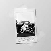 Thumbnail for the STORYBOARDS - Colorblind link, provided by host site