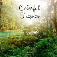Thumbnail for the Rain Sounds - Colorful Tropics link, provided by host site