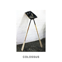 Thumbnail for the IDLES - Colossus link, provided by host site