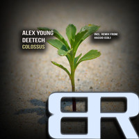 Thumbnail for the Alex Young - Colossus link, provided by host site