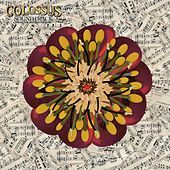 Thumbnail for the Colossus - Colossus (Original Motion Picture Soundtrack) link, provided by host site