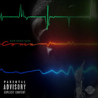Thumbnail for the Rich Homie Quan - Coma link, provided by host site