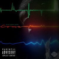 Thumbnail for the Rich Homie Quan - Coma link, provided by host site