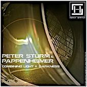 Thumbnail for the Peter Sturm - Combining Light & Darkness link, provided by host site