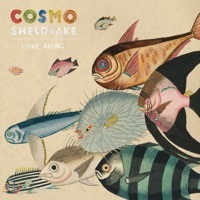 Thumbnail for the Cosmo Sheldrake - Come Along link, provided by host site