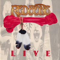Thumbnail for the Redbone - Come and Get Your Love - Live link, provided by host site