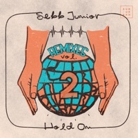 Thumbnail for the Sebb Junior - Come Back [Art of Tones Remix] link, provided by host site