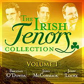 Thumbnail for the Brendan O'Dowda - Come Back Paddy Reilly link, provided by host site