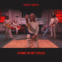 Thumbnail for the Itchy Teeth - Come In My Dojo link, provided by host site