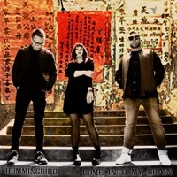 Thumbnail for the Humming Bird - Come into My Brain link, provided by host site