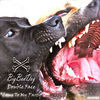 Thumbnail for the Doubleface - Come to My Party link, provided by host site