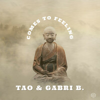 Thumbnail for the Tao - Comes to feeling link, provided by host site