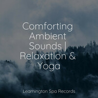 Thumbnail for the Ambiente - Comforting Ambient Sounds | Relaxation & Yoga link, provided by host site