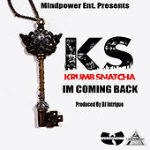 Thumbnail for the Krumbsnatcha - Coming Back link, provided by host site