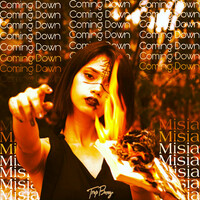 Thumbnail for the Misia - Coming Down link, provided by host site