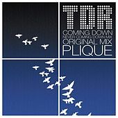 Thumbnail for the TDR - Coming Down link, provided by host site