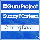 Thumbnail for the Guru Project - Coming Down link, provided by host site