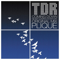 Thumbnail for the TDR - Coming Down link, provided by host site