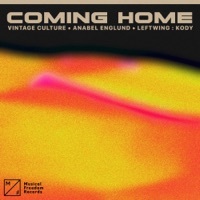 Thumbnail for the Vintage Culture - Coming Home [Extended Mix] link, provided by host site