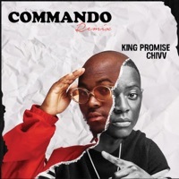 Thumbnail for the King Promise - Commando (Remix) link, provided by host site