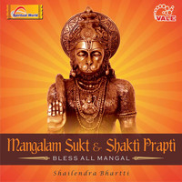 Thumbnail for the Shailendra Bhartti - Commentary link, provided by host site