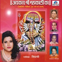 Thumbnail for the Rajesh Johri - Commentary link, provided by host site