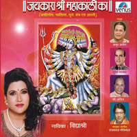 Thumbnail for the Rajesh Johri - Commentary link, provided by host site
