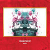 Thumbnail for the Reddy - Commitment link, provided by host site