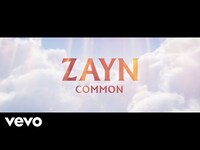 Thumbnail for the ZAYN - Common link, provided by host site