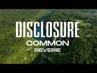 Thumbnail for the Disclosure - Reverie (Official Visualiser) link, provided by host site