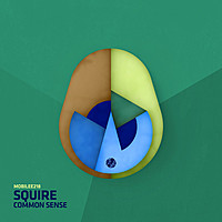 Thumbnail for the Squire - Common Sense link, provided by host site