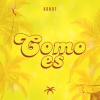 Thumbnail for the Robot95 - Como Es link, provided by host site