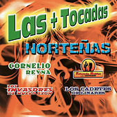 Thumbnail for the Salomon Robles - Como Fue Capaz link, provided by host site