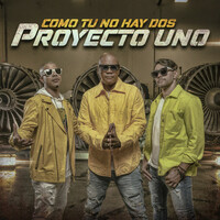 Thumbnail for the Proyecto Uno - Como Tu No Hay Dos link, provided by host site