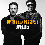 Thumbnail for the Fonseca - Compadres (Lado F) link, provided by host site