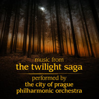 Thumbnail for the Evan Jolly - Compromise / Bella's Theme (From "The Twilight Saga: Eclipse") link, provided by host site