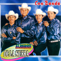 Thumbnail for the Los Alegres de la Sierra - Con Banda link, provided by host site