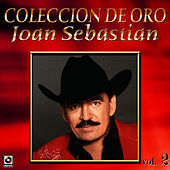 Thumbnail for the Joan Sebastian - Con Banda Vol.2 Coleccion De Oro - Joan Sebastian link, provided by host site