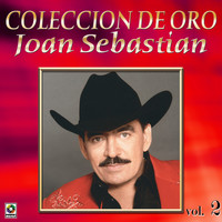 Thumbnail for the Joan Sebastian - Con Banda Vol.2 Coleccion De Oro - Joan Sebastian link, provided by host site