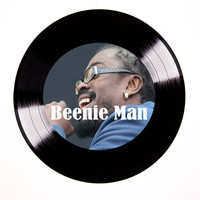 Thumbnail for the Beenie Man - Concept of Life link, provided by host site