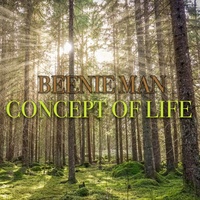 Thumbnail for the Beenie Man - Concept of Life link, provided by host site