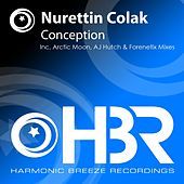 Thumbnail for the Nurettin Colak - Conception link, provided by host site