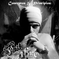 Thumbnail for the Silvito el Libre - Conceptos & Principios link, provided by host site