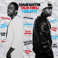 Thumbnail for the Shaun Boothe - Concepts link, provided by host site