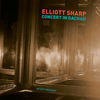 Thumbnail for the Elliott Sharp - Concert in Dachau link, provided by host site