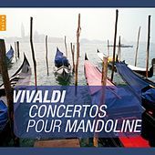 Thumbnail for the Rolf Lislevand - Concerto en ut majeur, RV425 : II. Largo link, provided by host site