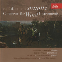 Thumbnail for the Carl Stamitz - Concerto for Clarinet and Orchestra in E-flat major: I. Allegro link, provided by host site
