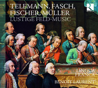 Thumbnail for the Johann Friedrich Fasch - Concerto for Flute and Oboe in G Major: I. Un poco allegro link, provided by host site