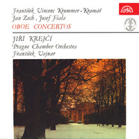 Thumbnail for the Jan Zach - Concerto for Oboe and Orchestra in B-Flat Major: II. Larghetto link, provided by host site